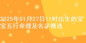 2025年01月27日11时出生的宝宝五行命理及名字精选