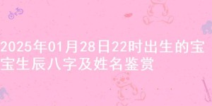 2025年01月28日22时出生的宝宝生辰八字及姓名鉴赏