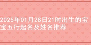 2025年01月28日21时出生的宝宝五行起名及姓名推荐