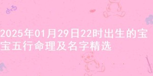 2025年01月29日22时出生的宝宝五行命理及名字精选