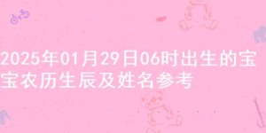 2025年01月29日06时出生的宝宝农历生辰及姓名参考