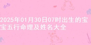 2025年01月30日07时出生的宝宝五行命理及姓名大全