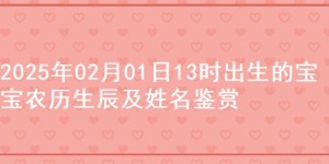 2025年02月01日13时出生的宝宝农历生辰及姓名鉴赏