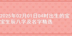 2025年02月01日04时出生的宝宝生辰八字及名字精选