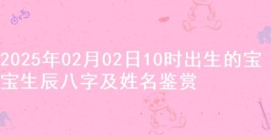 2025年02月02日10时出生的宝宝生辰八字及姓名鉴赏