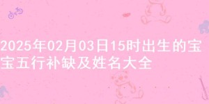 2025年02月03日15时出生的宝宝五行补缺及姓名大全