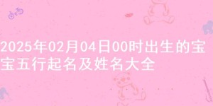 2025年02月04日00时出生的宝宝五行起名及姓名大全