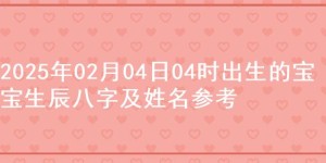 2025年02月04日04时出生的宝宝生辰八字及姓名参考