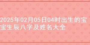 2025年02月05日04时出生的宝宝生辰八字及姓名大全