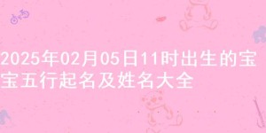 2025年02月05日11时出生的宝宝五行起名及姓名大全