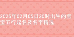 2025年02月05日20时出生的宝宝五行起名及名字精选