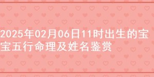 2025年02月06日11时出生的宝宝五行命理及姓名鉴赏