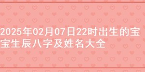 2025年02月07日22时出生的宝宝生辰八字及姓名大全