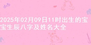 2025年02月09日11时出生的宝宝生辰八字及姓名大全