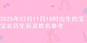 2025年02月11日18时出生的宝宝农历生辰及姓名参考