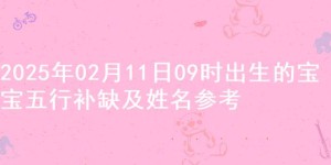 2025年02月11日09时出生的宝宝五行补缺及姓名参考