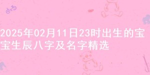 2025年02月11日23时出生的宝宝生辰八字及名字精选