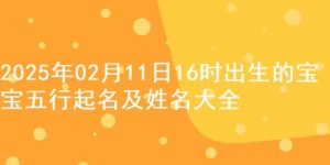 2025年02月11日16时出生的宝宝五行起名及姓名大全