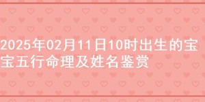 2025年02月11日10时出生的宝宝五行命理及姓名鉴赏