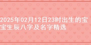 2025年02月12日23时出生的宝宝生辰八字及名字精选