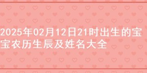 2025年02月12日21时出生的宝宝农历生辰及姓名大全