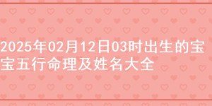 2025年02月12日03时出生的宝宝五行命理及姓名大全