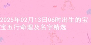 2025年02月13日06时出生的宝宝五行命理及名字精选