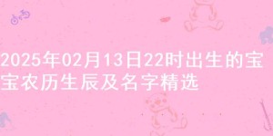 2025年02月13日22时出生的宝宝农历生辰及名字精选