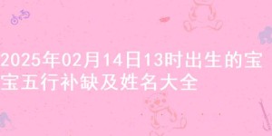 2025年02月14日13时出生的宝宝五行补缺及姓名大全