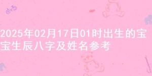 2025年02月17日01时出生的宝宝生辰八字及姓名参考