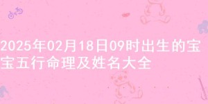 2025年02月18日09时出生的宝宝五行命理及姓名大全