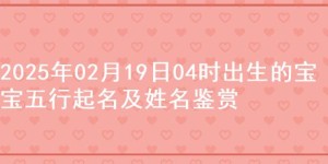 2025年02月19日04时出生的宝宝五行起名及姓名鉴赏