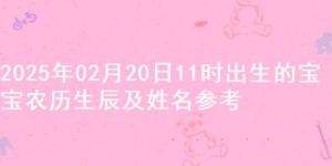 2025年02月20日11时出生的宝宝农历生辰及姓名参考