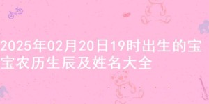 2025年02月20日19时出生的宝宝农历生辰及姓名大全