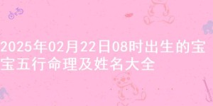 2025年02月22日08时出生的宝宝五行命理及姓名大全