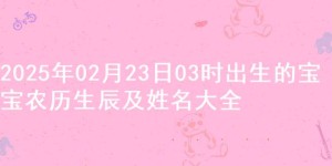 2025年02月23日03时出生的宝宝农历生辰及姓名大全