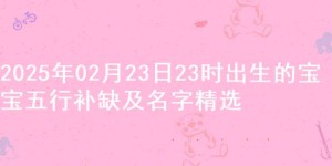 2025年02月23日23时出生的宝宝五行补缺及名字精选