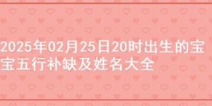 2025年02月25日20时出生的宝宝五行补缺及姓名大全