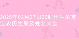 2025年02月27日00时出生的宝宝农历生辰及姓名大全