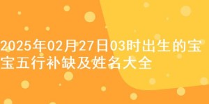 2025年02月27日03时出生的宝宝五行补缺及姓名大全