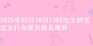 2025年02月28日13时出生的宝宝五行命理及姓名推荐