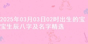 2025年03月03日02时出生的宝宝生辰八字及名字精选