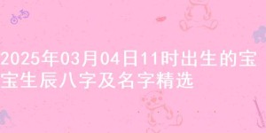 2025年03月04日11时出生的宝宝生辰八字及名字精选