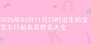 2025年03月11日23时出生的宝宝五行起名及姓名大全