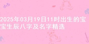 2025年03月19日11时出生的宝宝生辰八字及名字精选