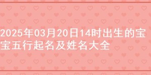 2025年03月20日14时出生的宝宝五行起名及姓名大全