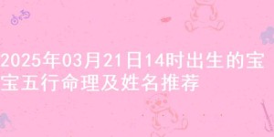 2025年03月21日14时出生的宝宝五行命理及姓名推荐