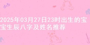 2025年03月27日23时出生的宝宝生辰八字及姓名推荐