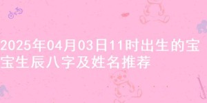 2025年04月03日11时出生的宝宝生辰八字及姓名推荐