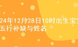 2024年12月28日10时出生宝宝的五行补缺与姓名